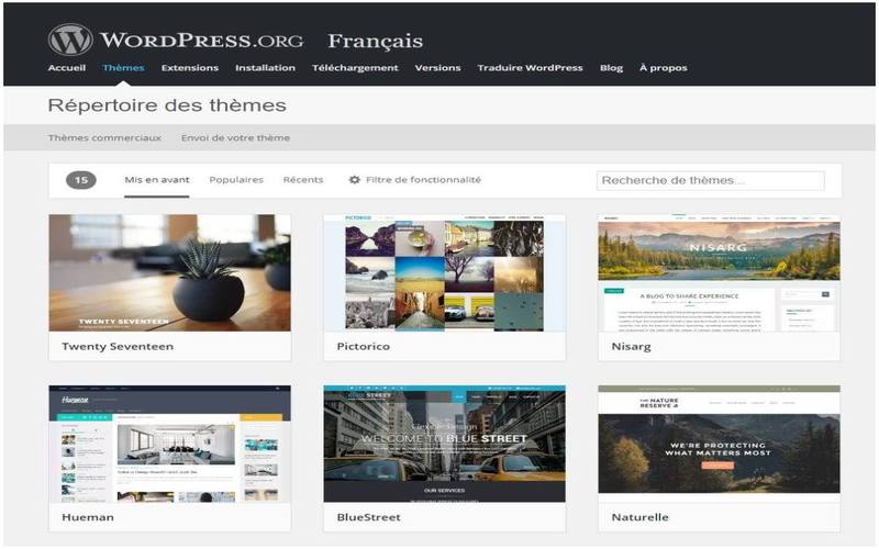 Wordpress-themes